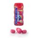 Chicles Mentos Frutas Silvestres 10 paquetes