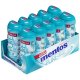 Chicles Mentos Wintergreen 10 paquetes