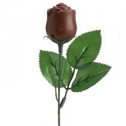 Rosa de Chocolate 18 gr