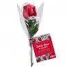 Rose en Chocolat 18 gr