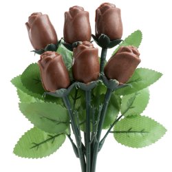 Bouquet de Roses de Chocolat