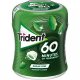 Trident Boîte 60 Minutes Menthe Poivrée Liquide