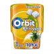 Chewing-gum Orbit à la Fraise et au Citron