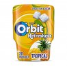 Chewing-gum Orbit à la Fraise et au Citron
