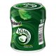 Trident Boîte 60 Minutes Menthe Liquide