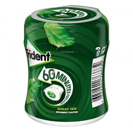 Trident Boîte 60 Minutes Menthe Liquide